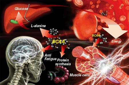 Treino de Agilidade para Artes Marciais