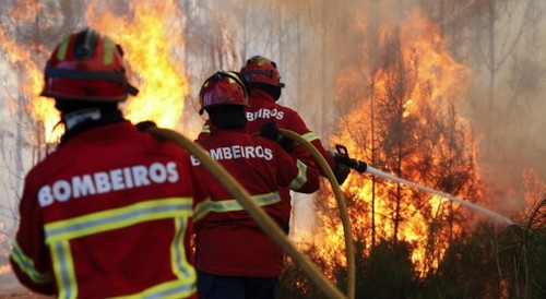 Ajudar os Bombeiros sai grátis no Suplementos24