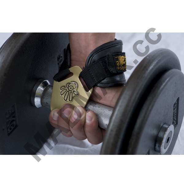 Teste a equipamentos para treino de dorsal